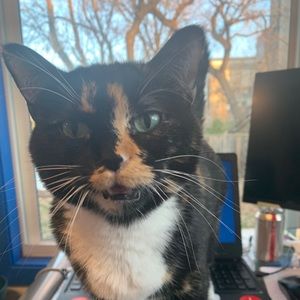 Meet your Posher, Melissa